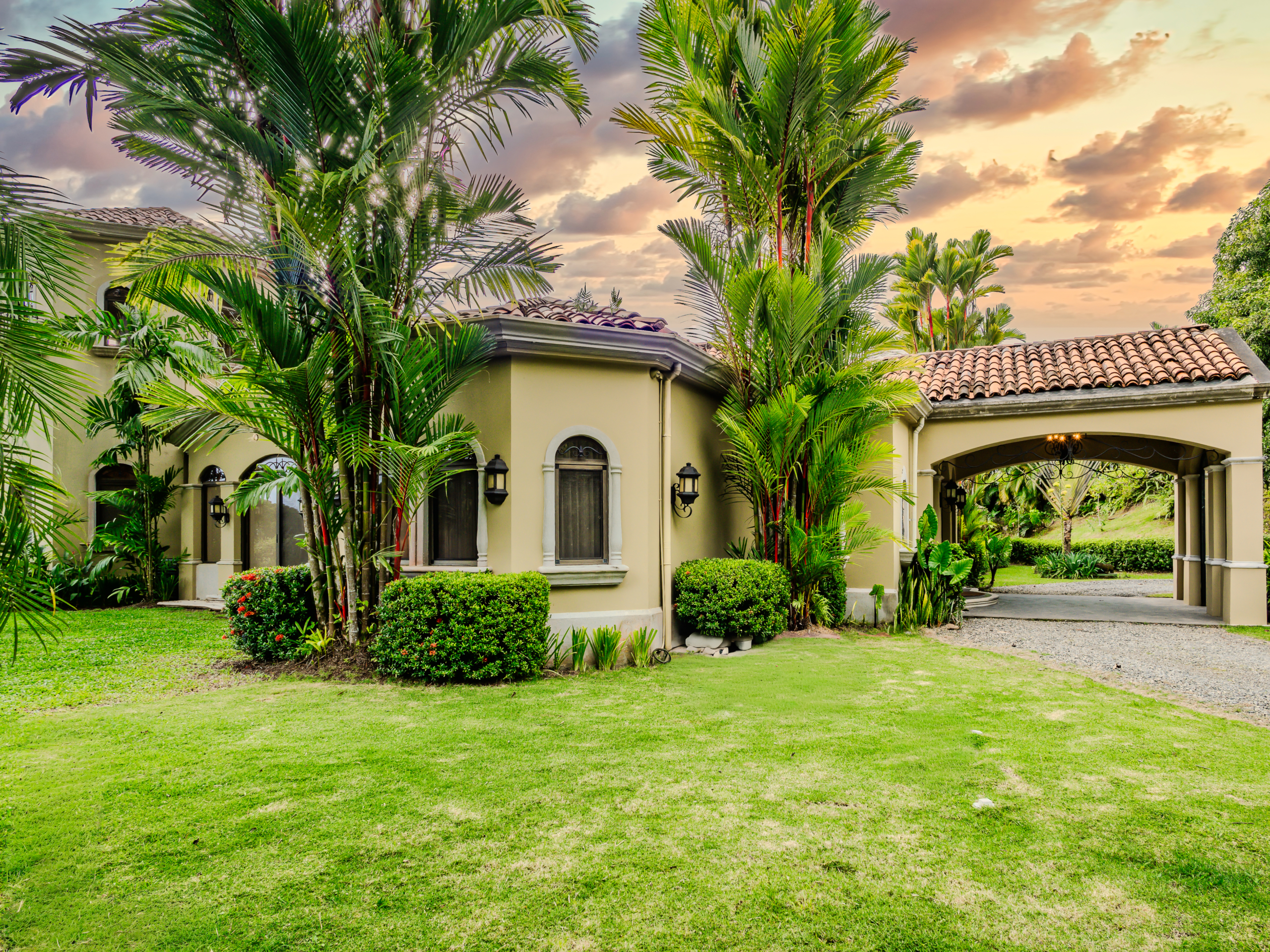 20250818_Yulian_OM1_Photo_CR_SouthPacific_BloomCR_TI_CasalasOlas_56660-HDR-Edit