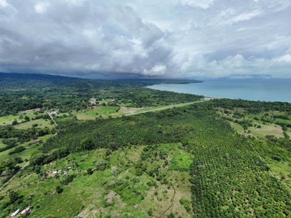 DJI 20240605101939 0016 D
