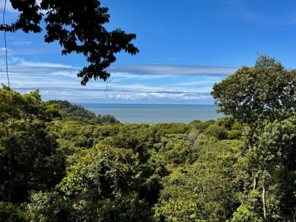 Pura selva 1 1 1170x785 1