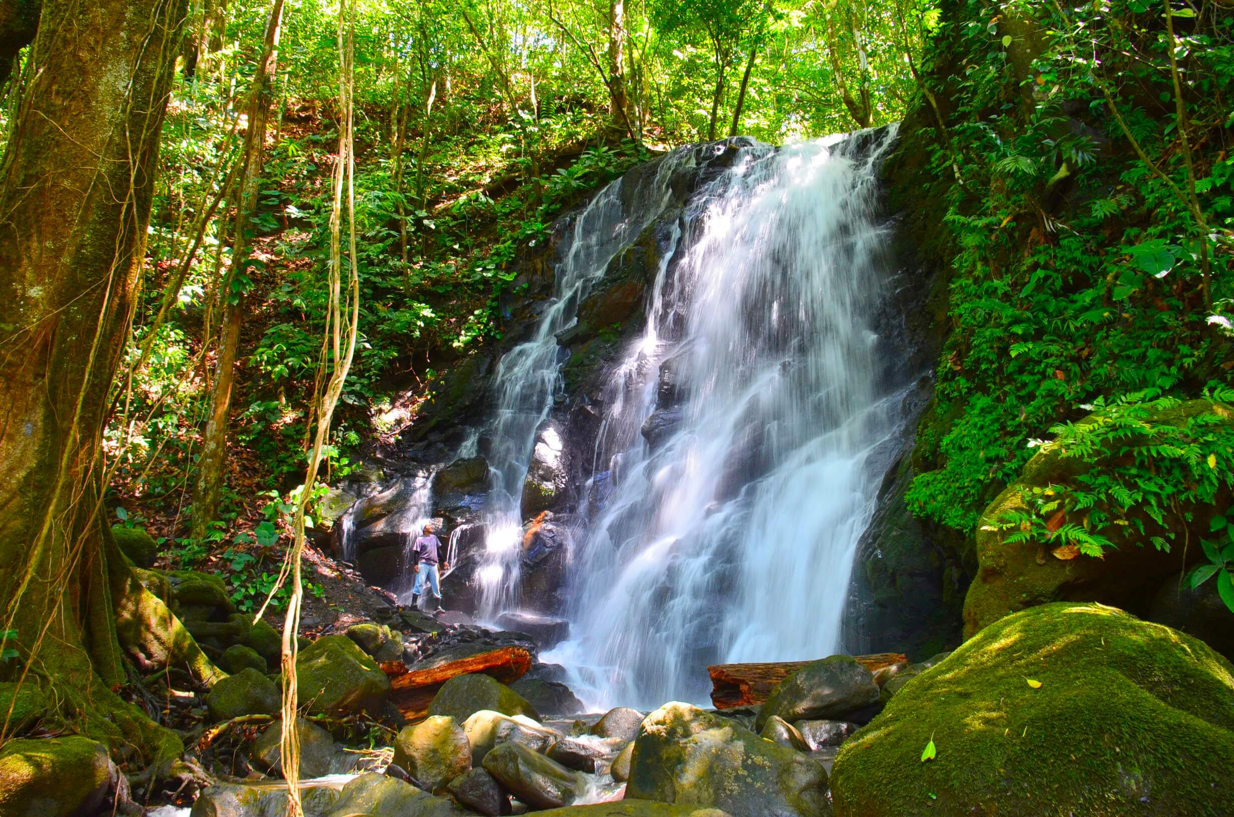 monkey wateerfall