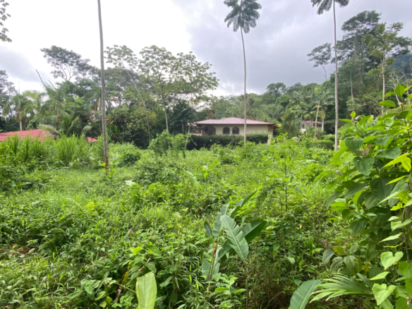 IMG 0036 1 1170x785 1