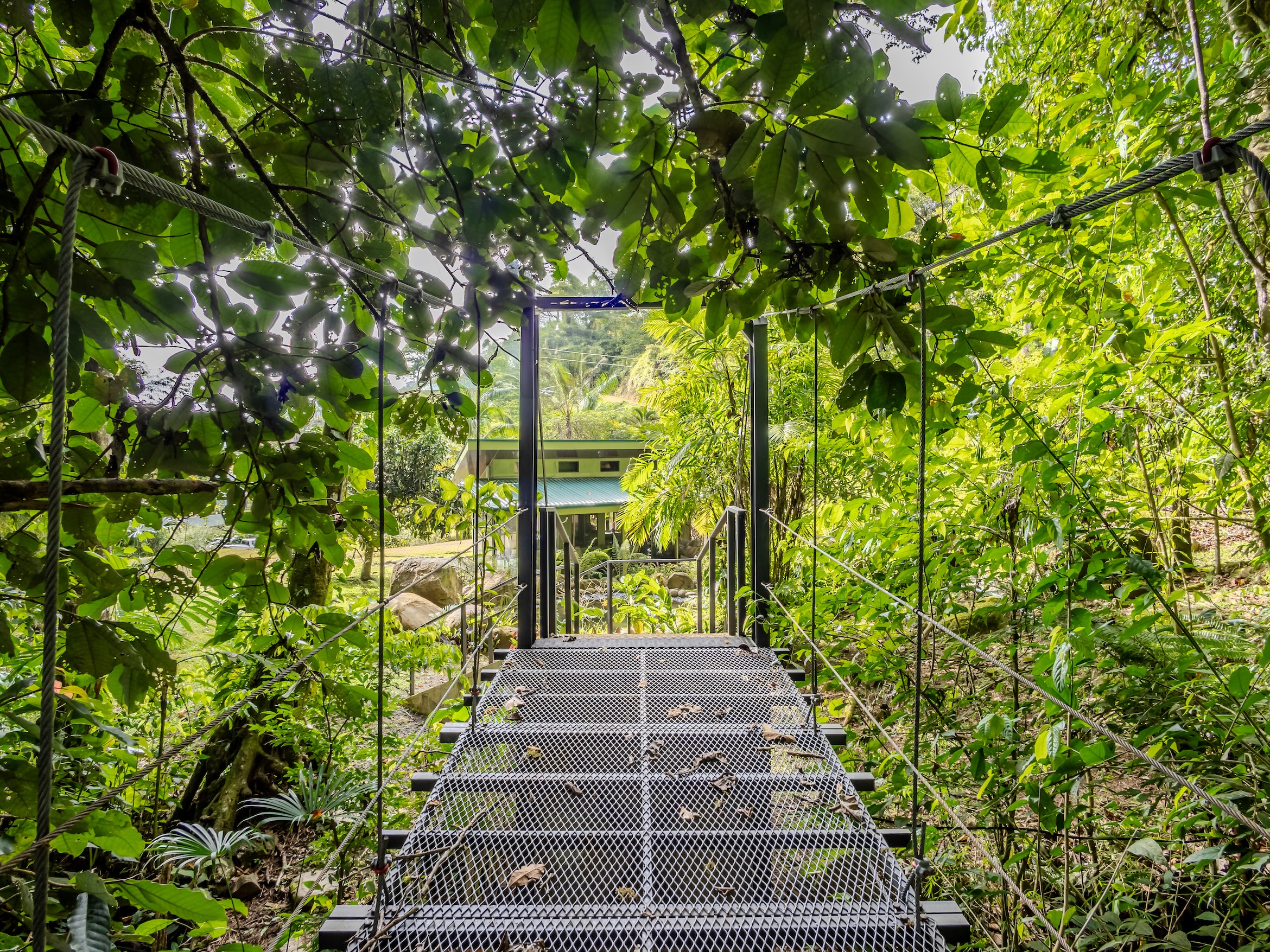 Waterfall and Suspension Bridge_Finca Suenos2