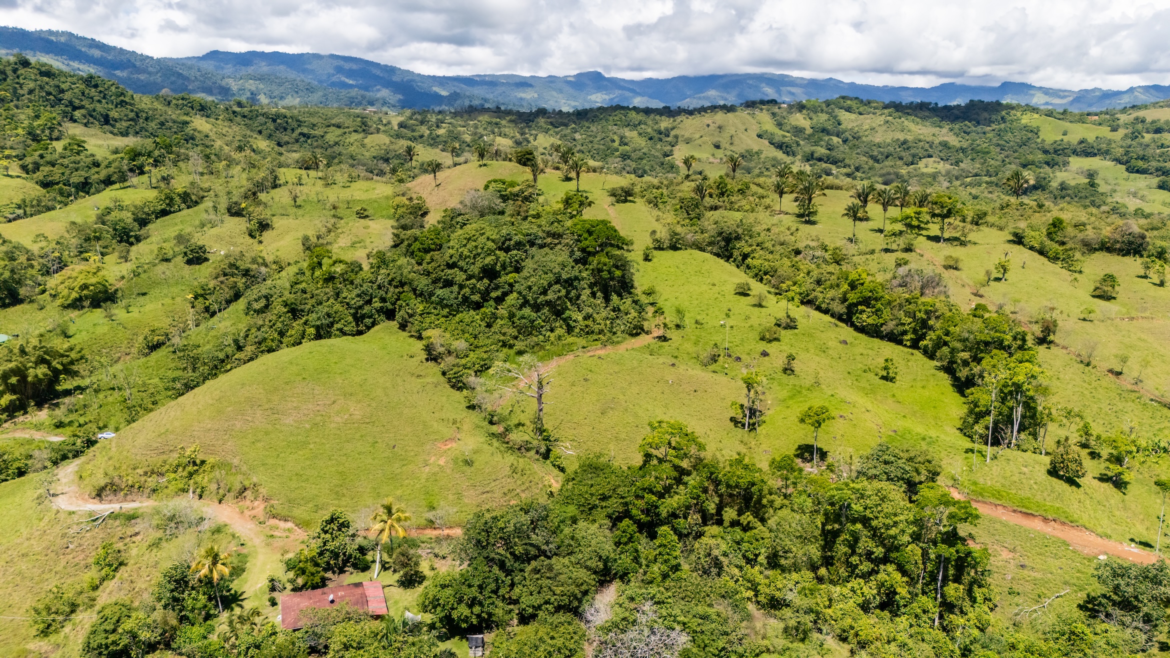 default