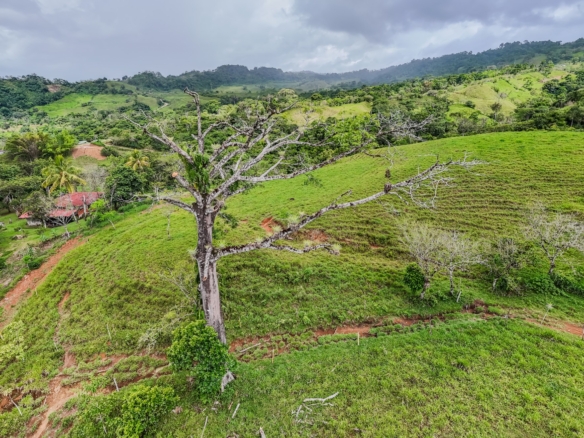 San Vito Sustainable Farm11