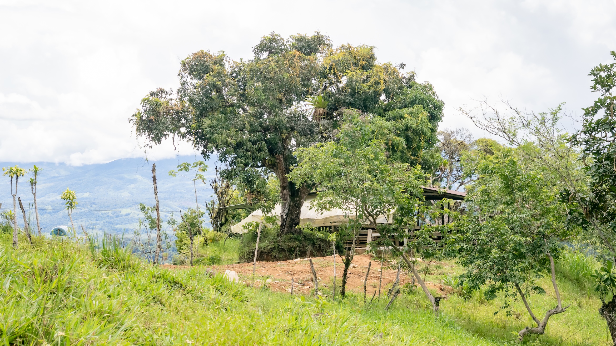 San Vito Sustainable Farm13