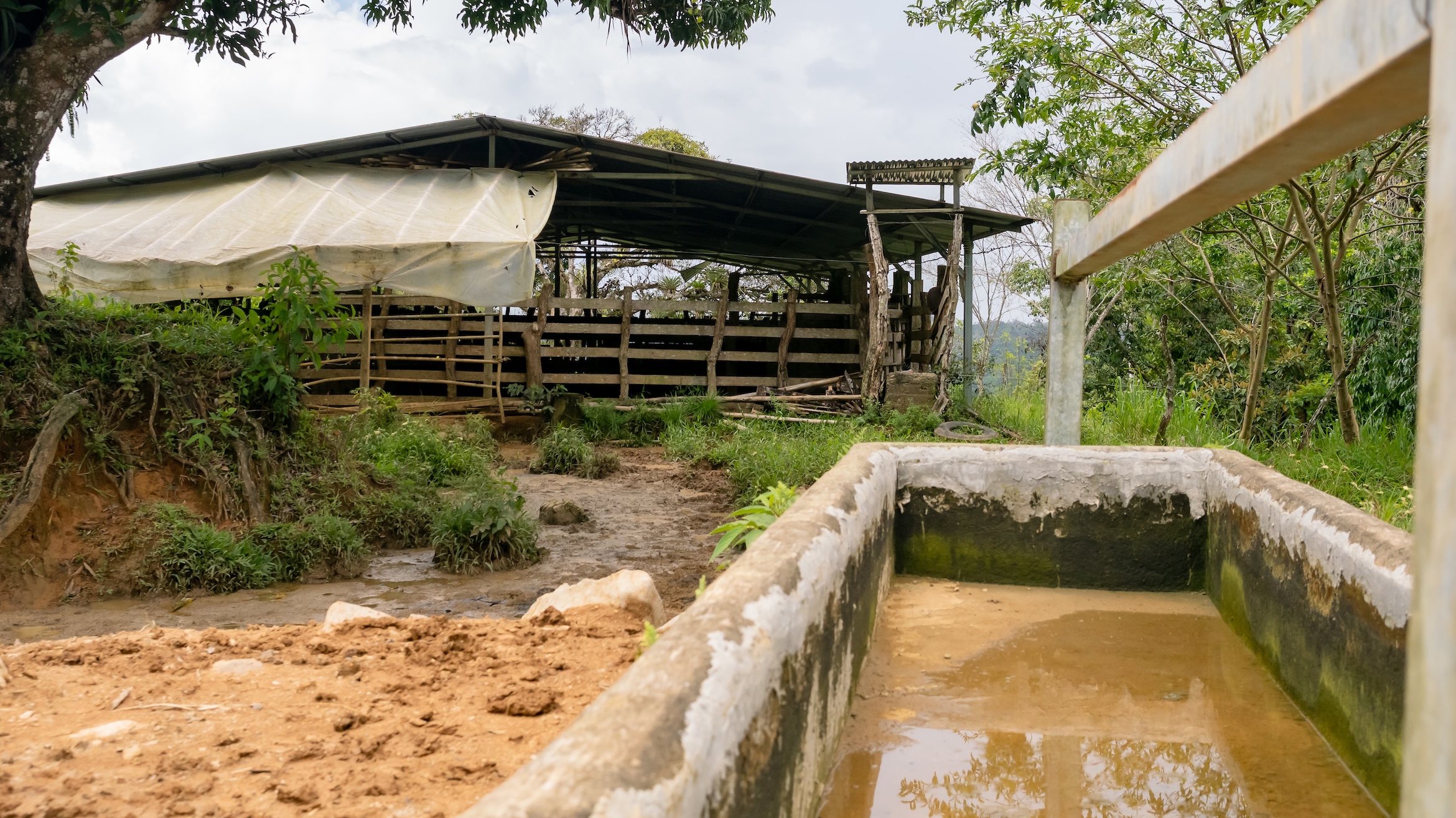 San Vito Sustainable Farm15