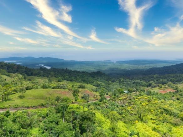 20250815 Yulian Drone Photo CR SouthPacific Sierpe RealEstate FincaDonAlfredo 57949 Edit