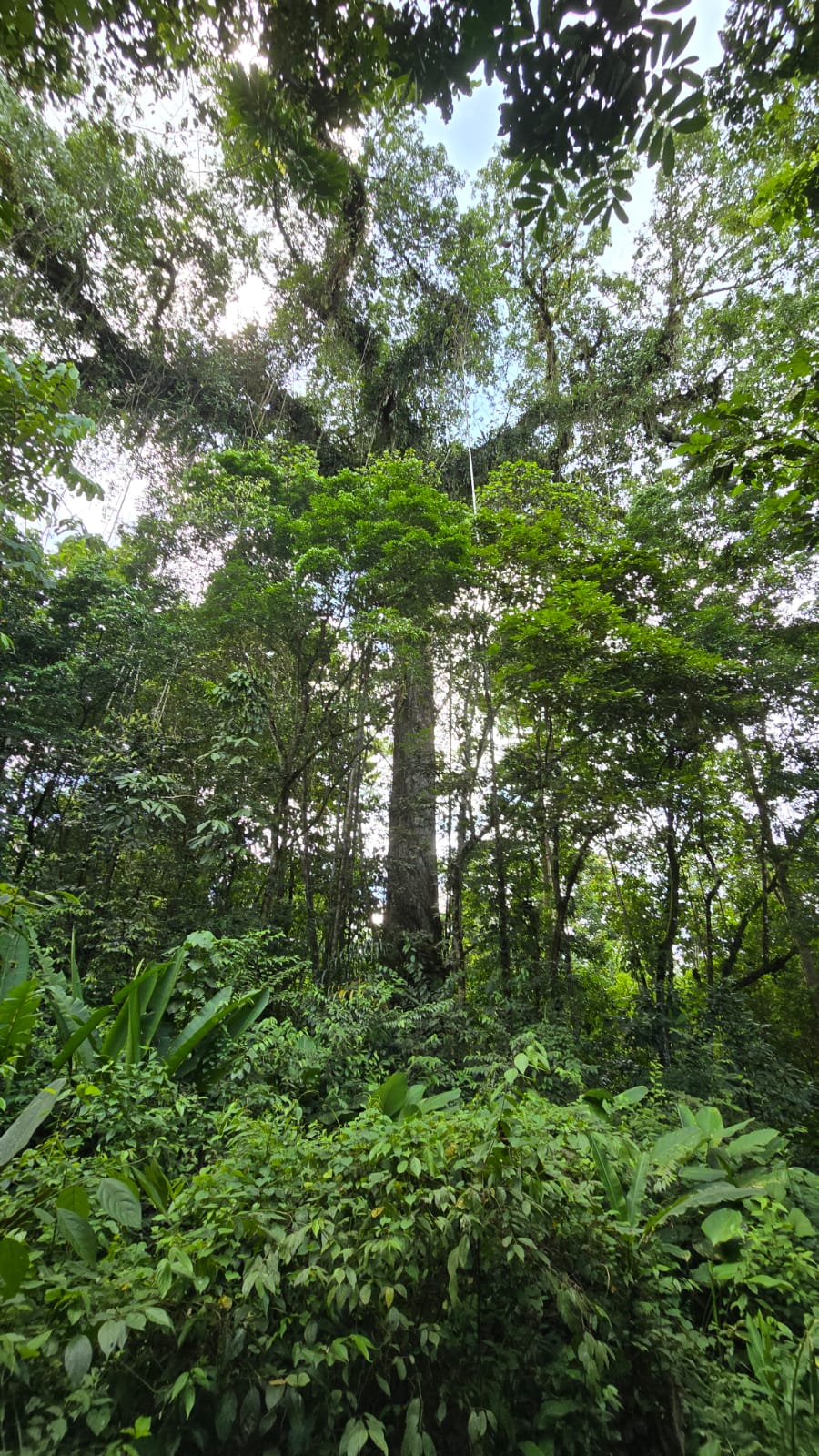 Imagen Finca Helga 2