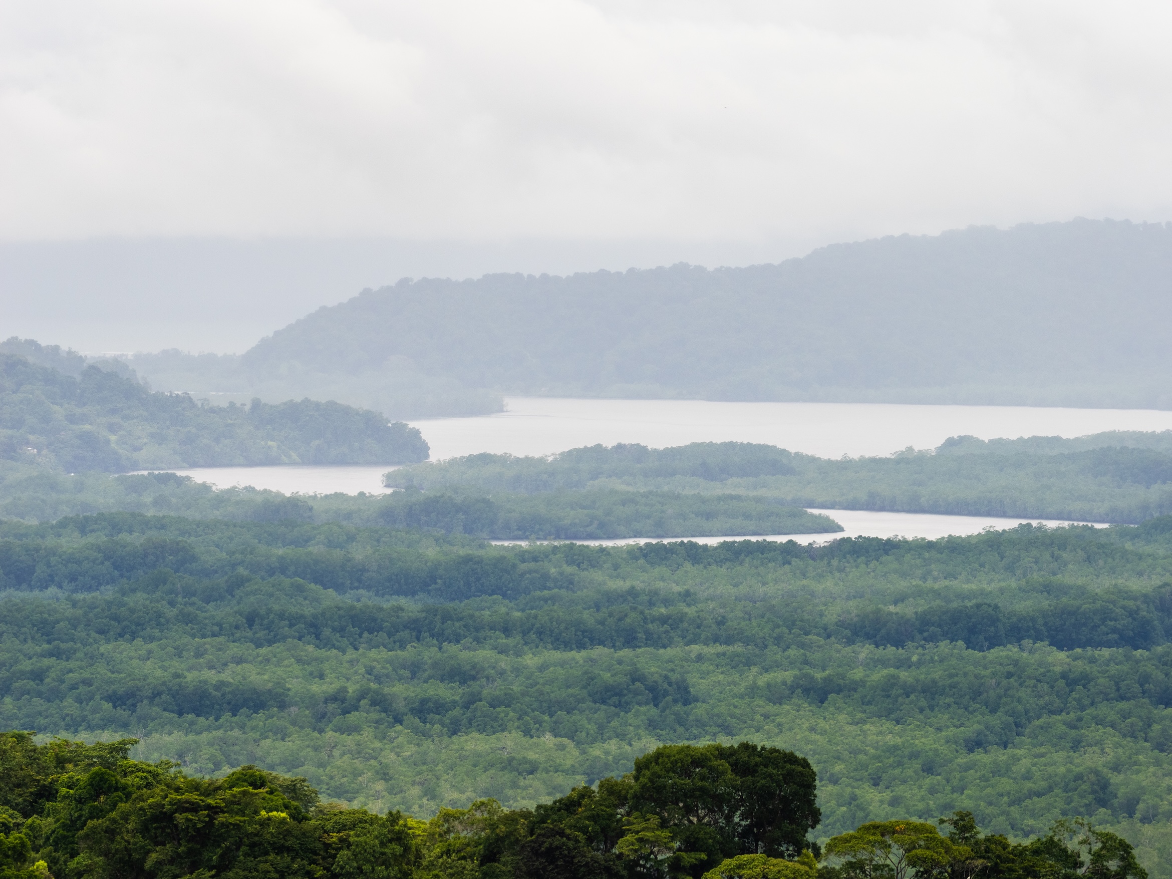 Tropical_Investments_Laura&Yulian_FincaDonAlfredo-3