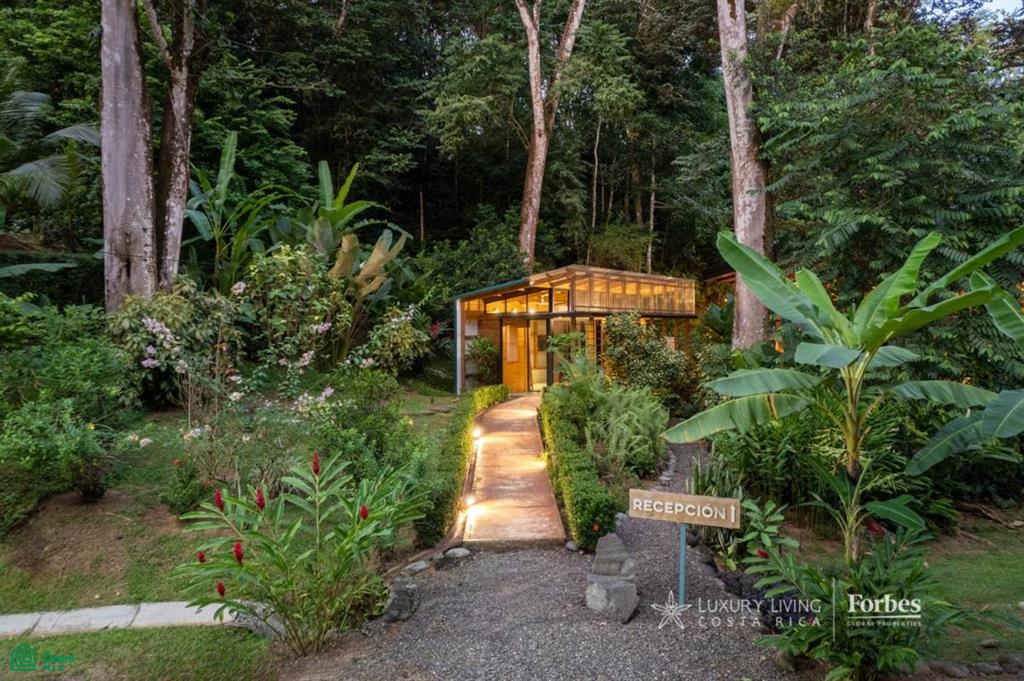 Ojochal Real Estate Guide, Jungle Luxury, Food, and Long-Term Value 2 20A ZicRVlLc3KFtbZTwC6T5pHho0RbFY9Ktg kmFs
