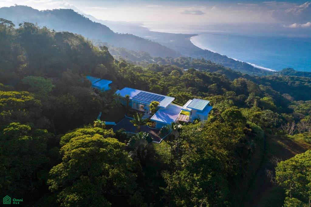 Why Biodiversity Is the New Luxury in Real Estate in Costa Rica 2 8894955779534602130