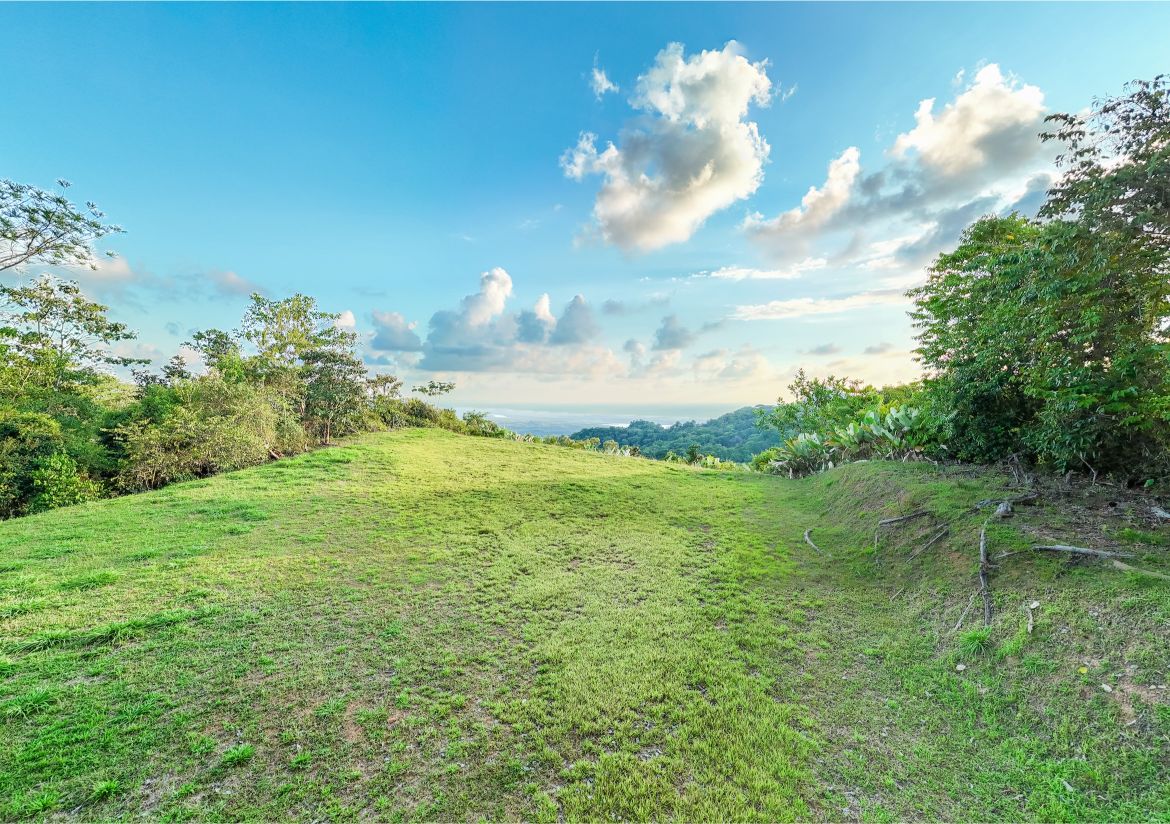 20260316_Yulian_Drone_Photo_CR_SouthPacific_TresRios_RealEstate_TI_Lote39OceanView_69466
