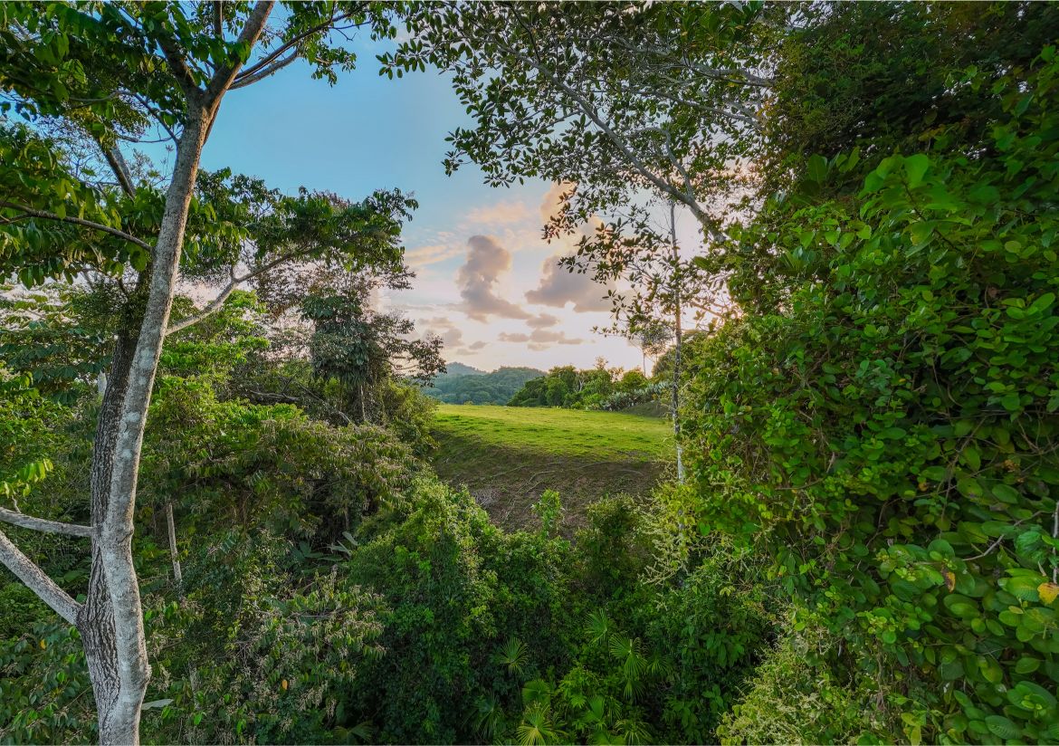 20260316_Yulian_Drone_Photo_CR_SouthPacific_TresRios_RealEstate_TI_Lote39OceanView_69470
