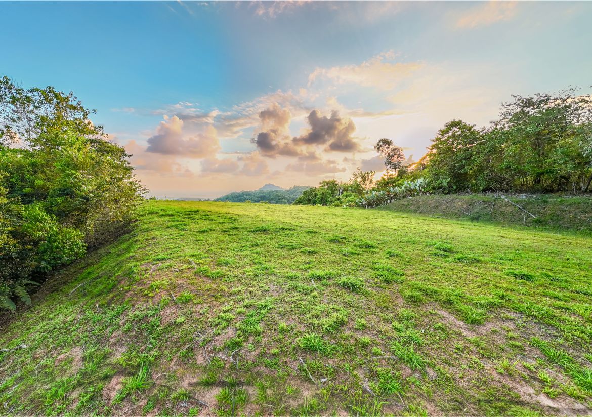 20260316_Yulian_Drone_Photo_CR_SouthPacific_TresRios_RealEstate_TI_Lote39OceanView_69471