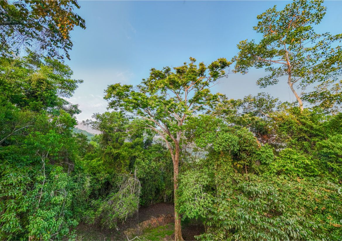 20260316_Yulian_Drone_Photo_CR_SouthPacific_TresRios_RealEstate_TI_Lote39OceanView_69474