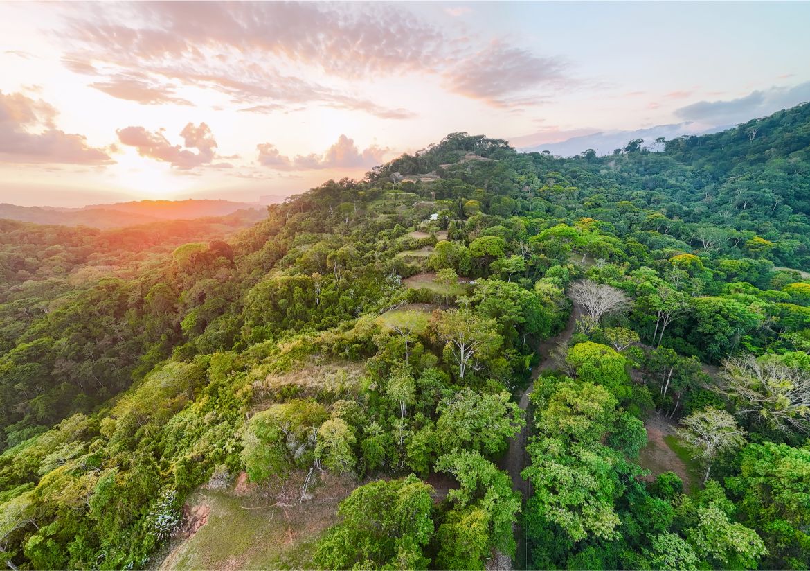 20260316_Yulian_Drone_Photo_CR_SouthPacific_TresRios_RealEstate_TI_Lote39OceanView_69476
