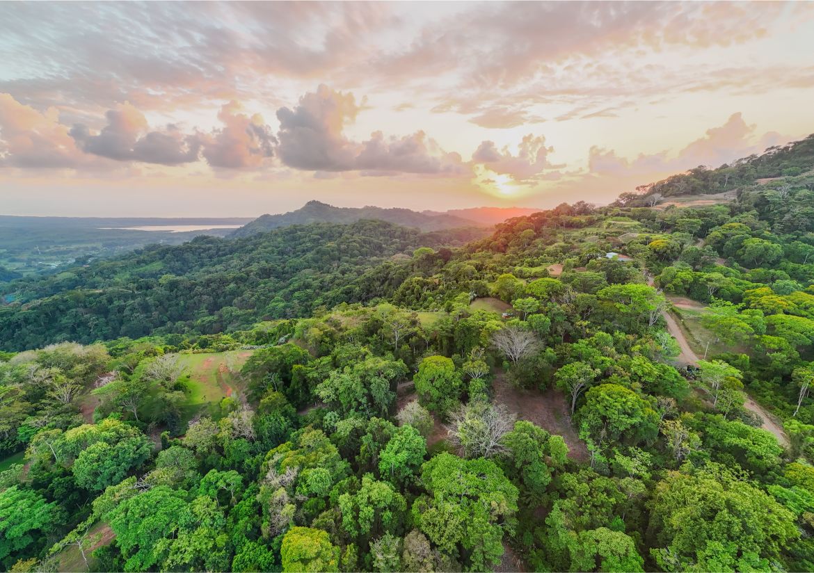 20260316_Yulian_Drone_Photo_CR_SouthPacific_TresRios_RealEstate_TI_Lote39OceanView_69478