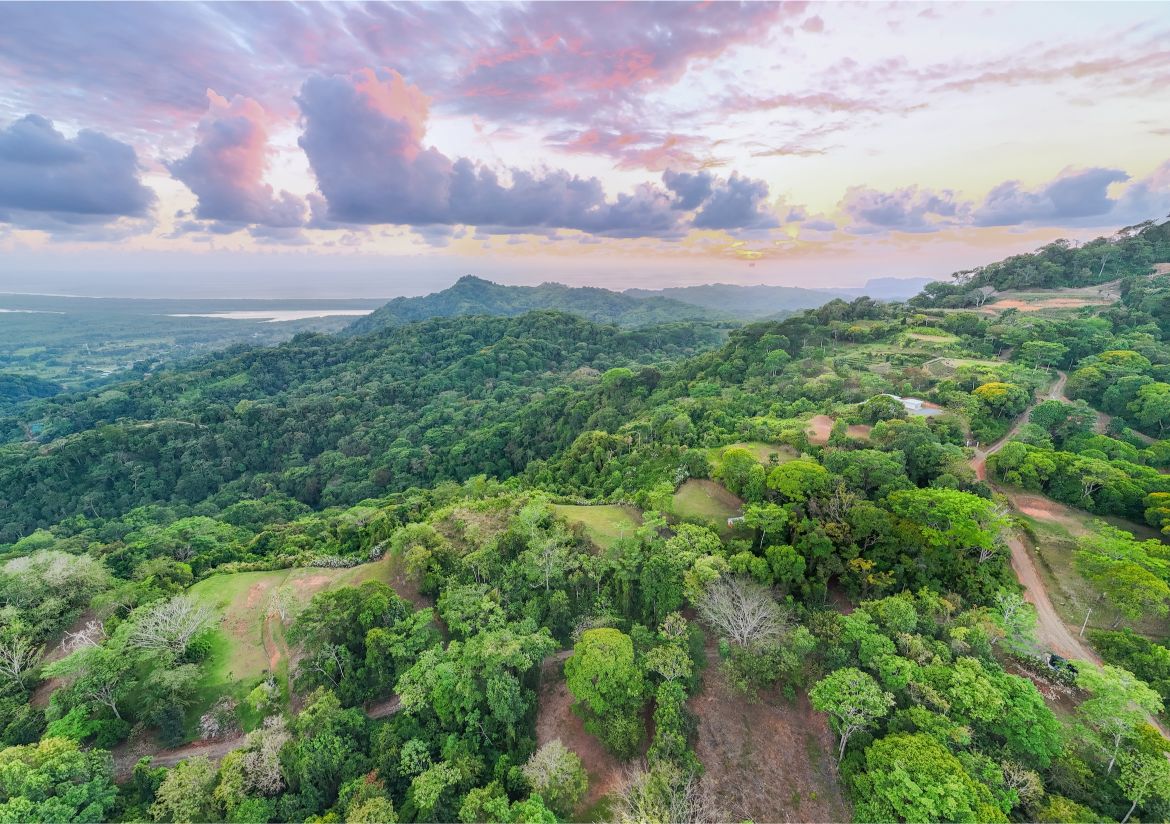 20260316_Yulian_Drone_Photo_CR_SouthPacific_TresRios_RealEstate_TI_Lote39OceanView_69481
