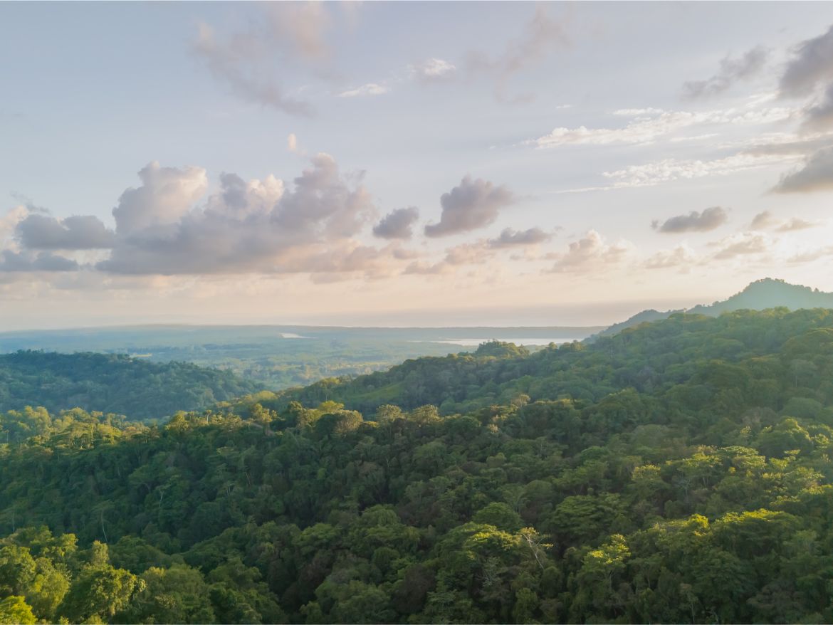 20260316_Yulian_Drone_Photo_CR_SouthPacific_TresRios_RealEstate_TI_Lote39OceanView_69560