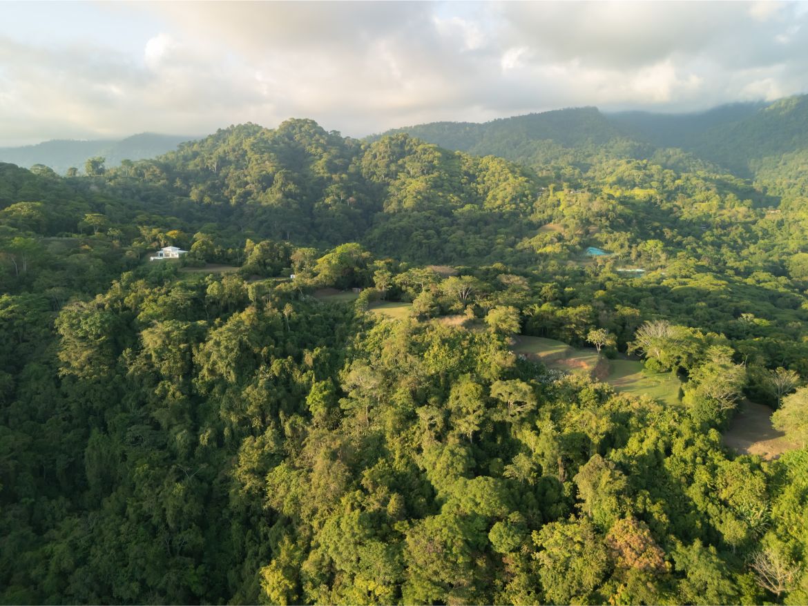 20260316_Yulian_Drone_Photo_CR_SouthPacific_TresRios_RealEstate_TI_Lote39OceanView_69561