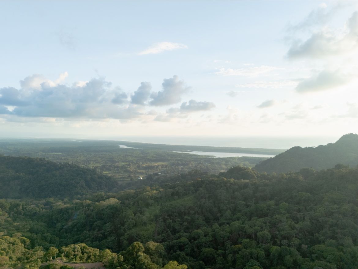 20260316_Yulian_Drone_Photo_CR_SouthPacific_TresRios_RealEstate_TI_Lote39OceanView_69563