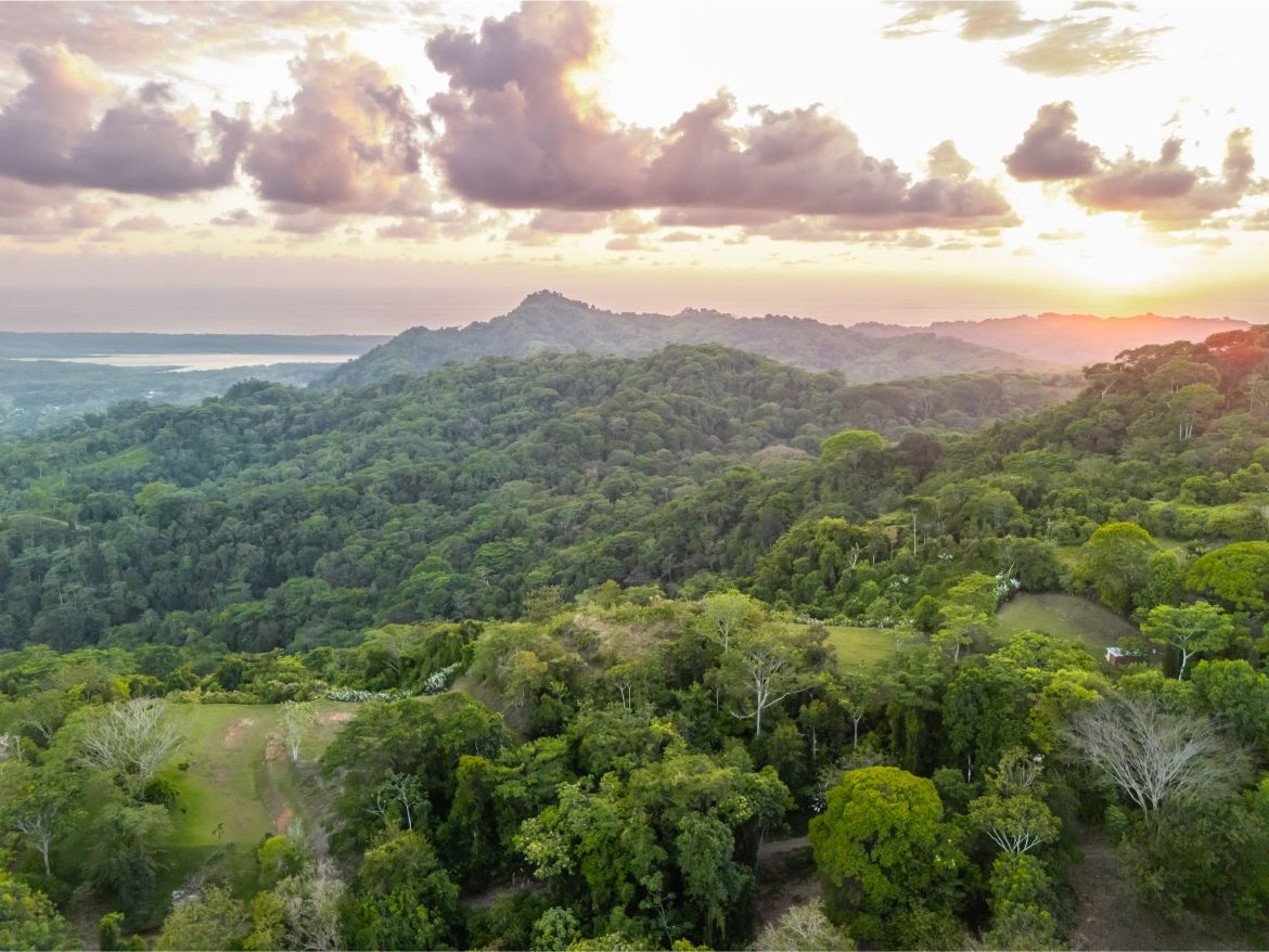 20260316_Yulian_Drone_Photo_CR_SouthPacific_TresRios_RealEstate_TI_Lote39OceanView_69584