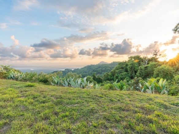 20260316 Yulian SonyA7IV Photo CR SouthPacific TresRios BloomCR RE TI Lote39 71144