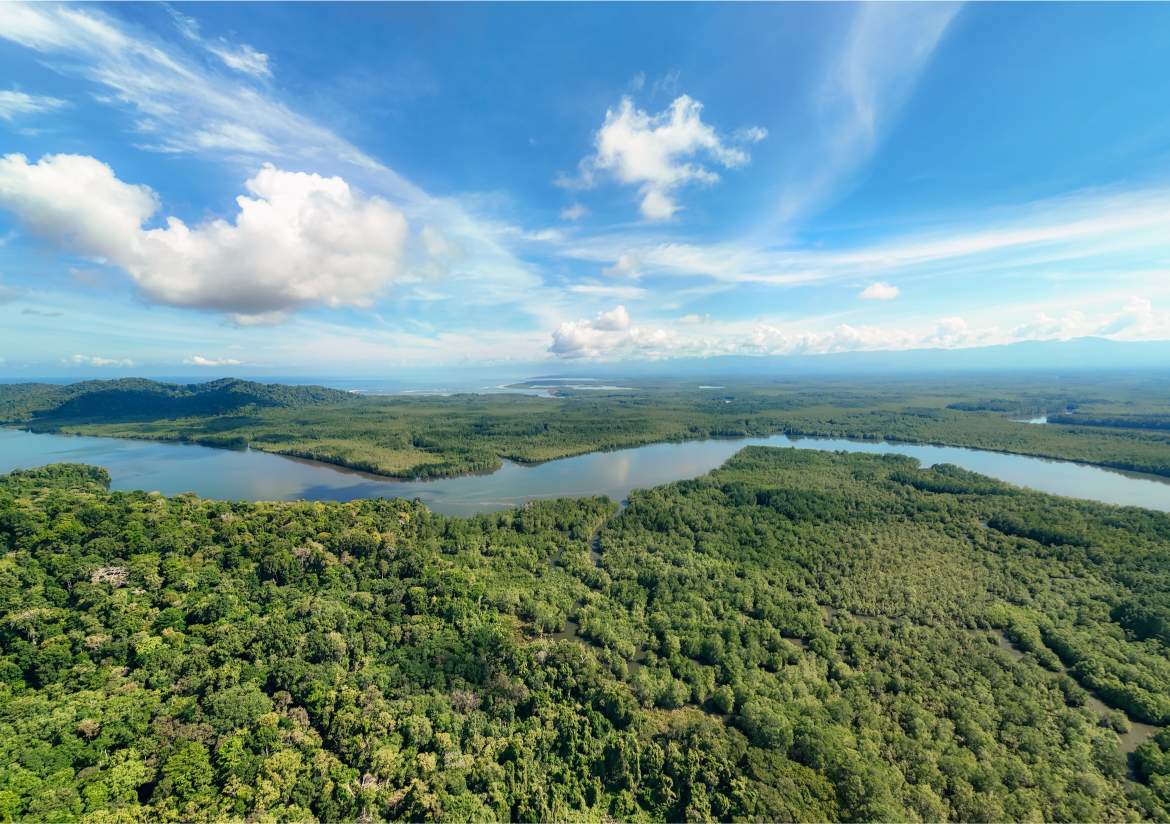 1-20260422_Yulian_DroneMINI4pro_Photo_CR_SouthPacific_Sierpe_PropiedadDonGonzalo_73499