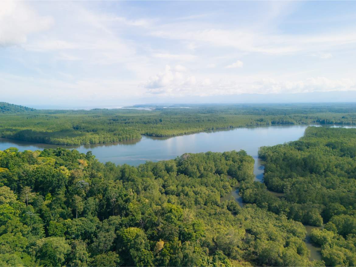 20260422_Yulian_DroneMINI4pro_Photo_CR_SouthPacific_Sierpe_PropiedadDonGonzalo_73474