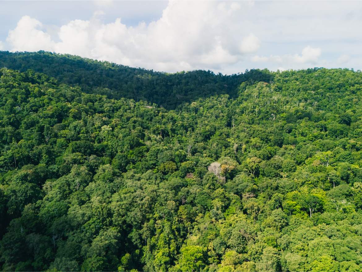 20260422_Yulian_DroneMINI4pro_Photo_CR_SouthPacific_Sierpe_PropiedadDonGonzalo_73476