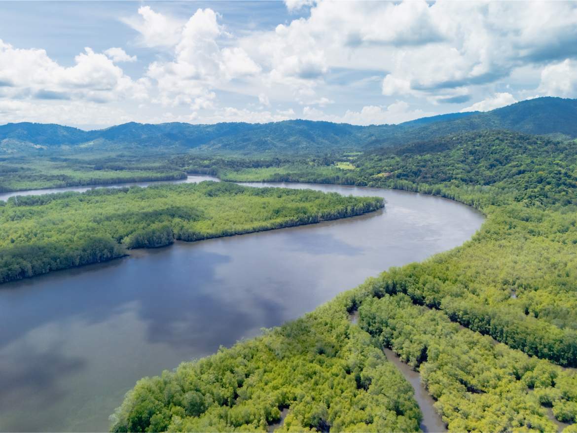 20260422_Yulian_DroneMINI4pro_Photo_CR_SouthPacific_Sierpe_PropiedadDonGonzalo_73489