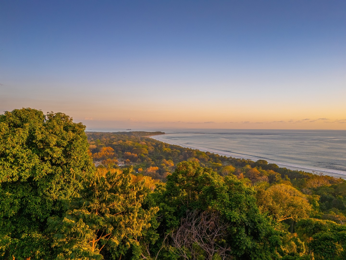 DJI_20240304172414_0236_D