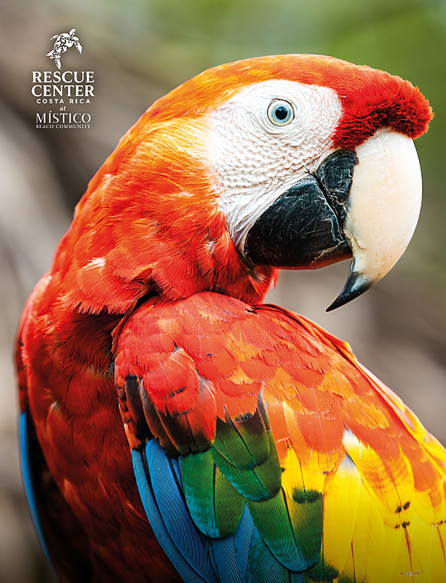 rescue_center_cover_1440x1882